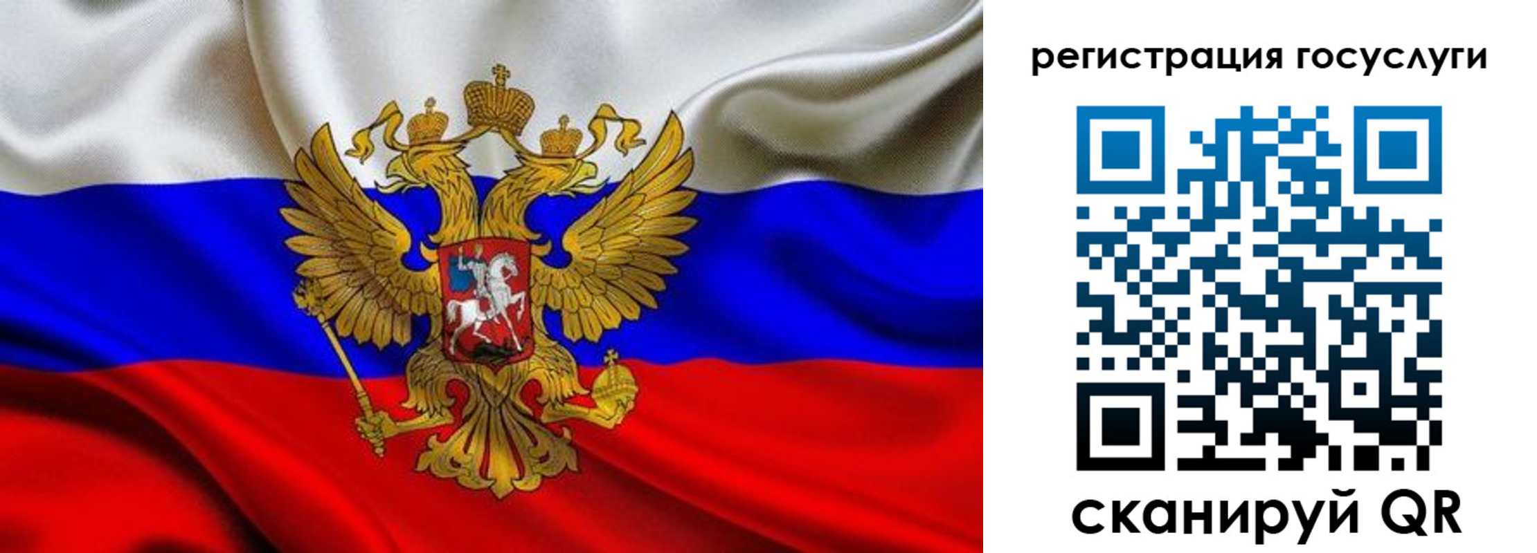 прописка гарантия в Купино